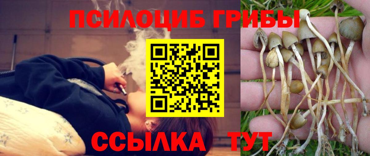 Воткинск  как найти закладки  Вход с VPN  Псилоцибиновые грибы GOLDEN TEACHER 